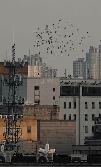 Kaitlyn Image Story Contest 70(1) SM TINY VERT Kaitlyn Image Story Contest 701 SM TINY VERT