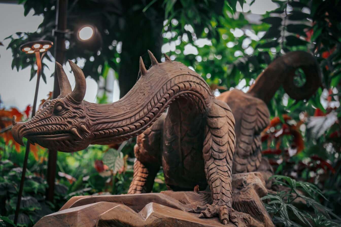 paras kapoor 6WRi8mi29 A unsplash1