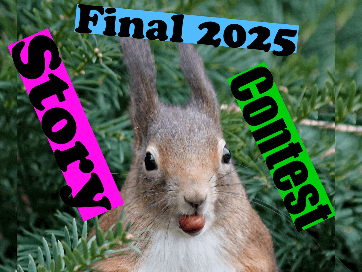 Final 2025 Story Contest SM v2 75 v2