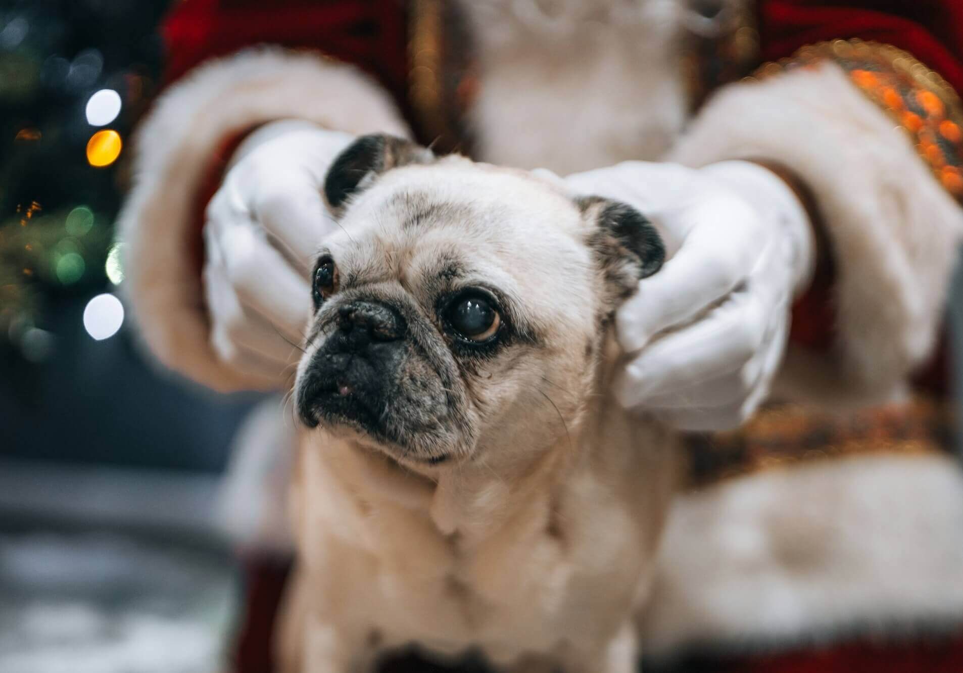 jackie best iFy4CHP7IFA unsplash1